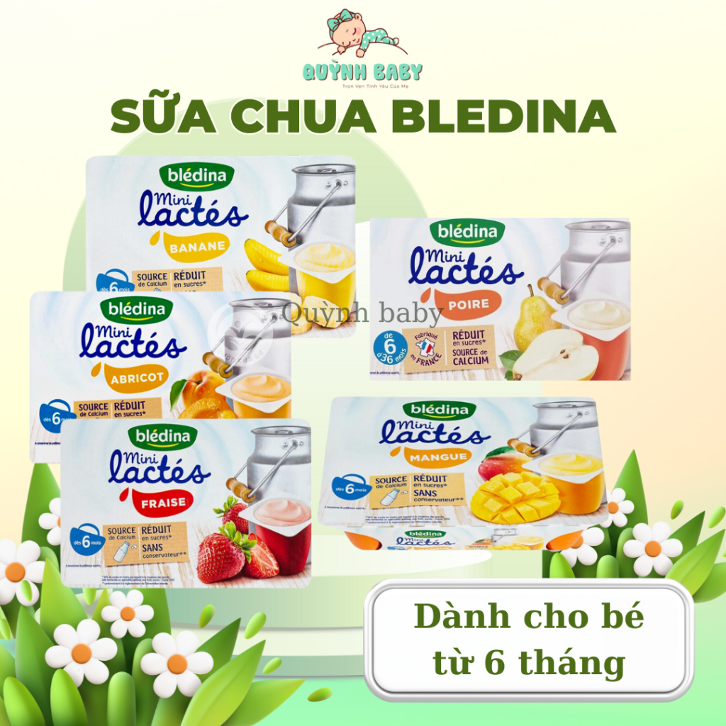 [Date 2026] Sữa chua nguội Bledina Pháp