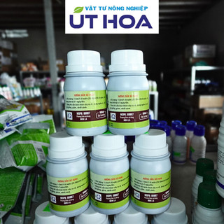Phân Bón SIÊU RA RỄ UH Acid Humic Hữu Cơ - Rễ trắng bầu, cây mập khoẻ, lá xanh dày