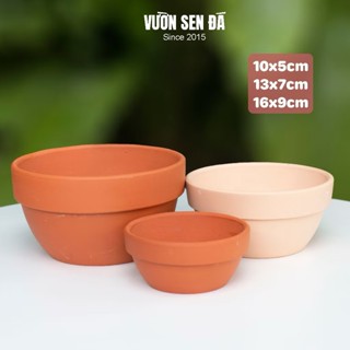 Chậu đất nung hình bầu - Chậu trồng sen đá