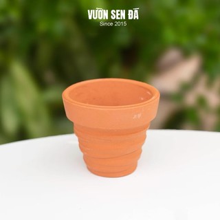 Chậu đất nung Cắt Rối 7x7cm