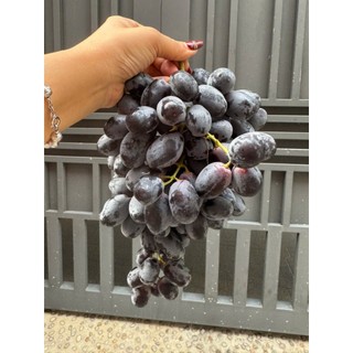 [ HỎA TỐC ] Nho đen trái tròn ngọt 1kg