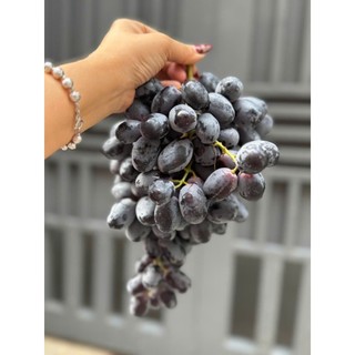 [ HỎA TỐC ] Nho đen trái tròn ngọt 1kg