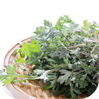 Ngải cứu nhung nhiều lá đẹp 100g