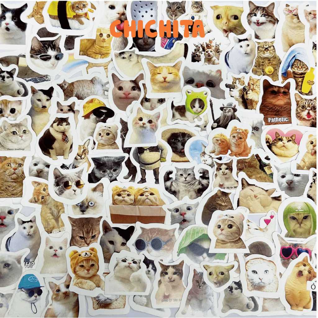 Sticker Chống Thấm Nước Hình Dễ Thương Trang Trí Ốp Điện Thoại, Laptop Dán Văn Phòng Phẩm Nghệ Thuật Thủ Công CHICHITA