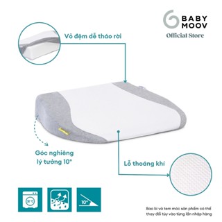 Gối Chống Trào Ngược Babymoov Cosymat