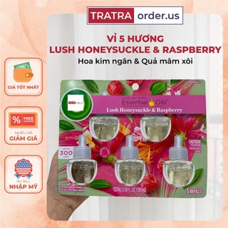Bộ tinh dầu thơm Air Wick Essential Oils [Hàng Mỹ]