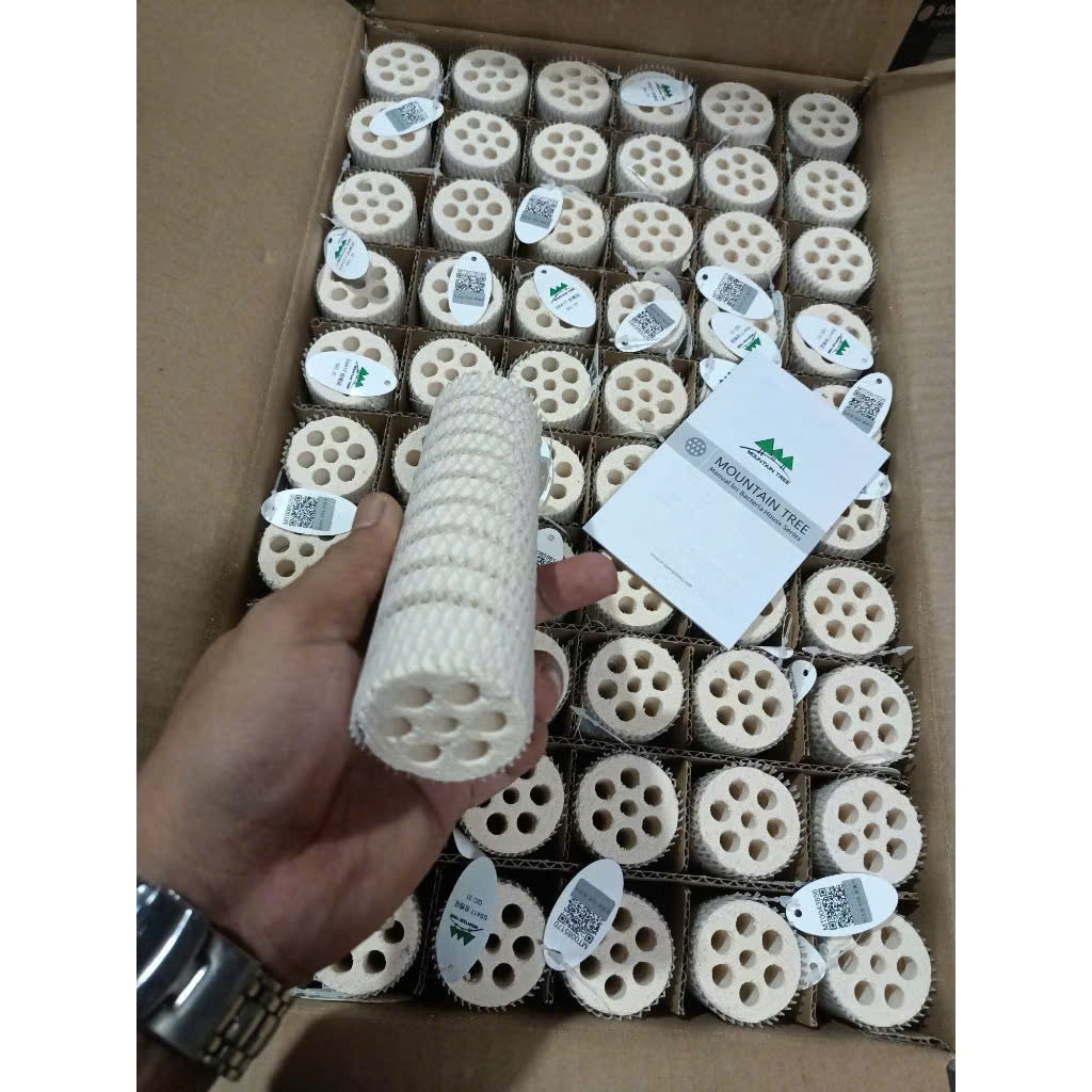 Sứ Xoắn Củ Sen Mountain Tree - Sứ thế hệ 1