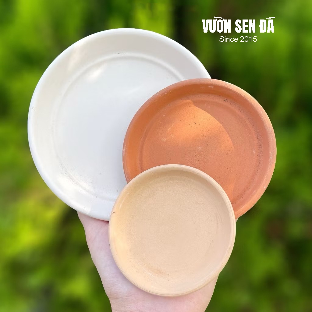 Đế lót chậu đất nung - Vườn sen đá
