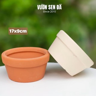 Chậu đất nung 17x9cm - Vườn sen đá