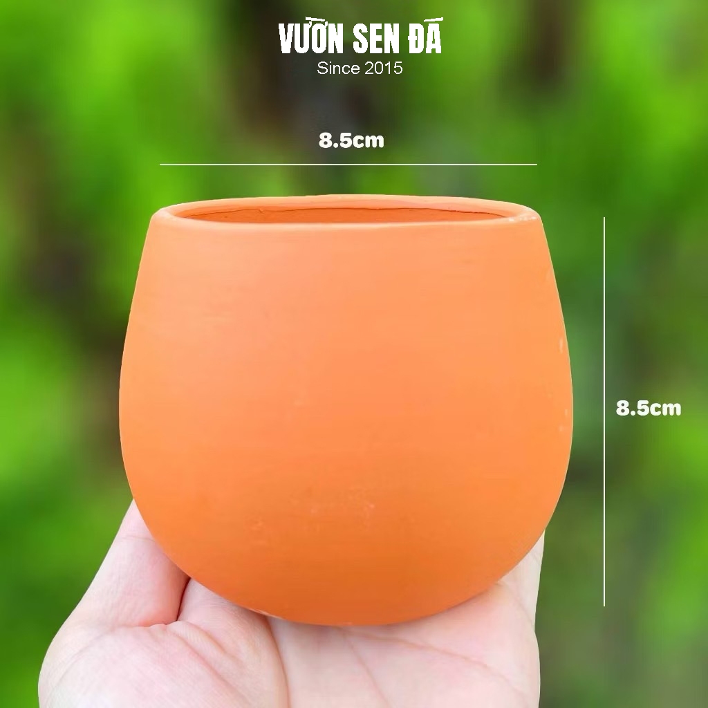 Chậu đất nung hạt dẻ 8.5x8.5cm - Chậu đỏ trơn