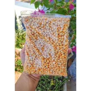 Ngô nổ bắp rang bơ - Popcorn