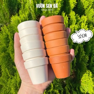 Chậu đất nung mini 5x5cm - Trồng sen đá vỉ