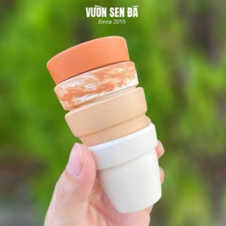 Chậu đất nung mini 5x5cm - Trồng sen đá vỉ