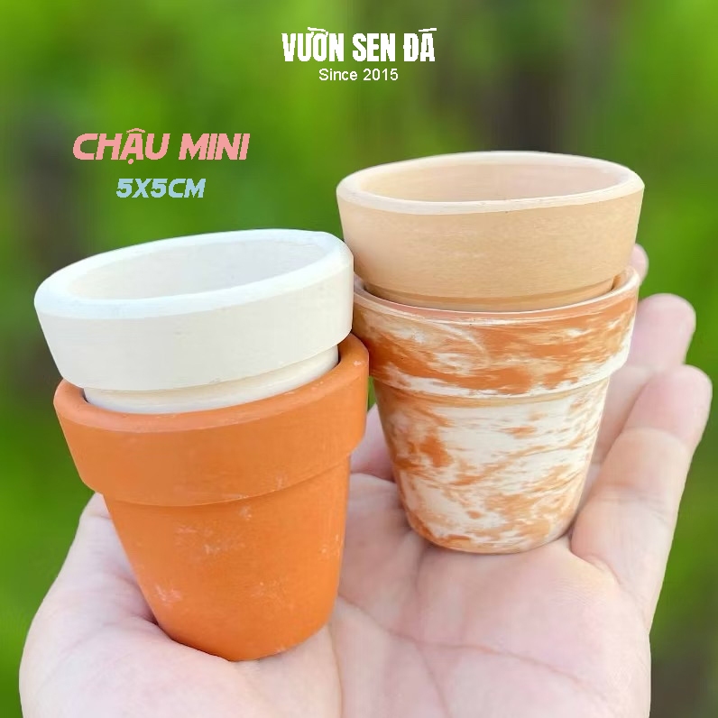 Chậu đất nung mini 5x5cm - Trồng sen đá vỉ