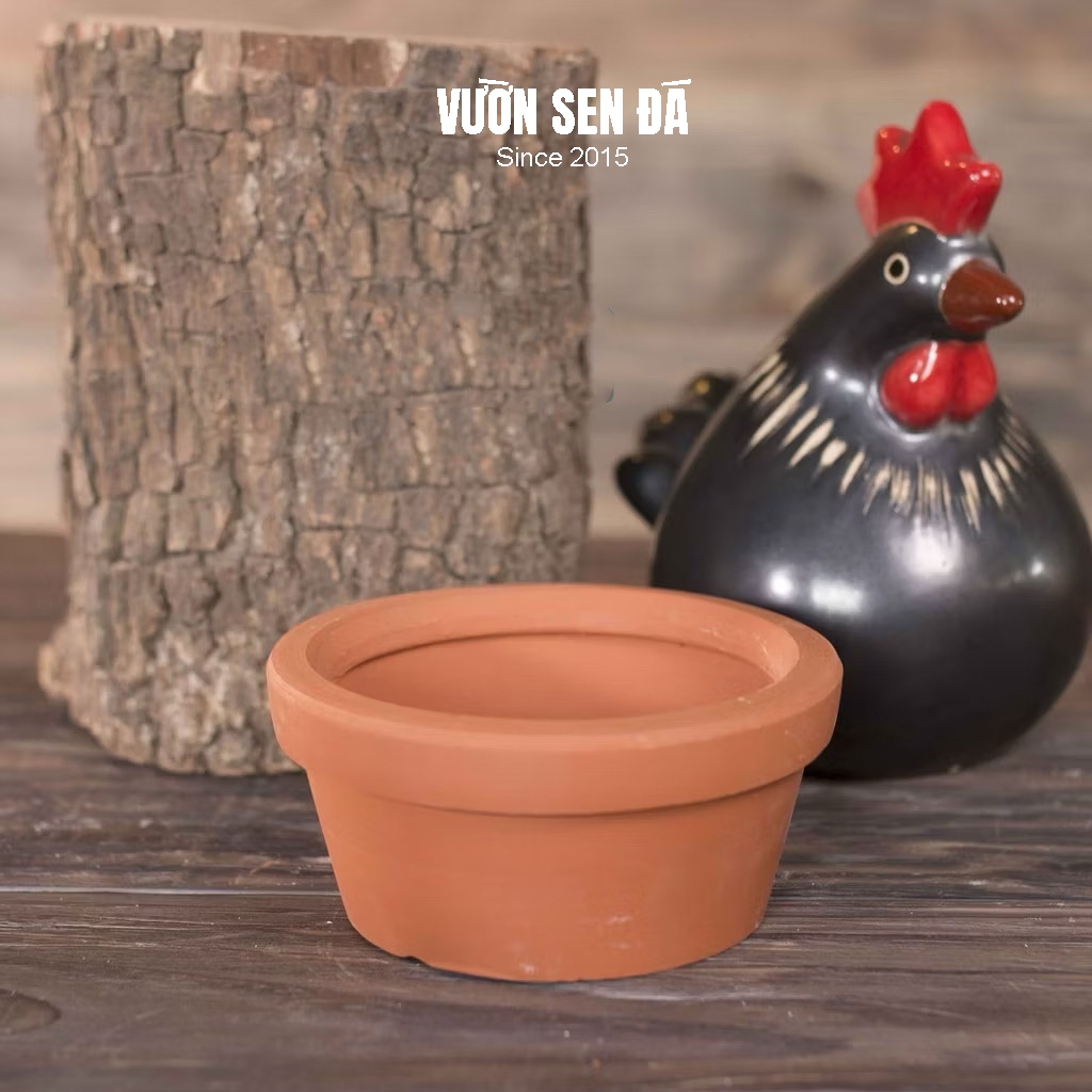 Chậu đất nung đỏ 12x6cm - Vườn sen đá