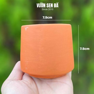 Chậu đất nung cúp miệng 7.5x7.5cm - Chậu trơn