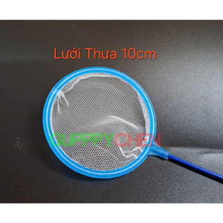 Vợt lưới tròn vớt cá con