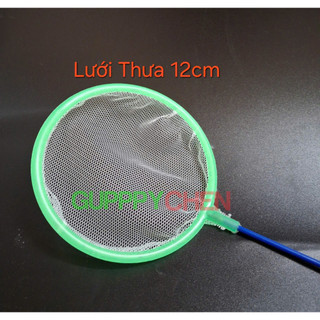 Vợt lưới tròn vớt cá con