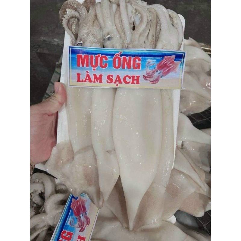 mực làm sạch 1kg sz to giòn ngon tiện lợi