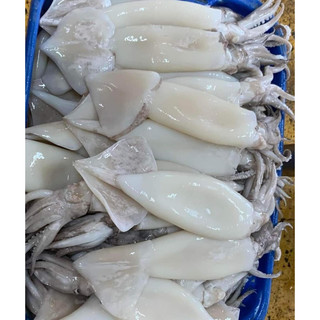mực làm sạch 1kg sz to giòn ngon tiện lợi