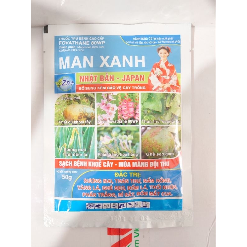 Man Xanh Nhật bản -japan sạch bệnh khoẻ cây-mùa màng bội thu