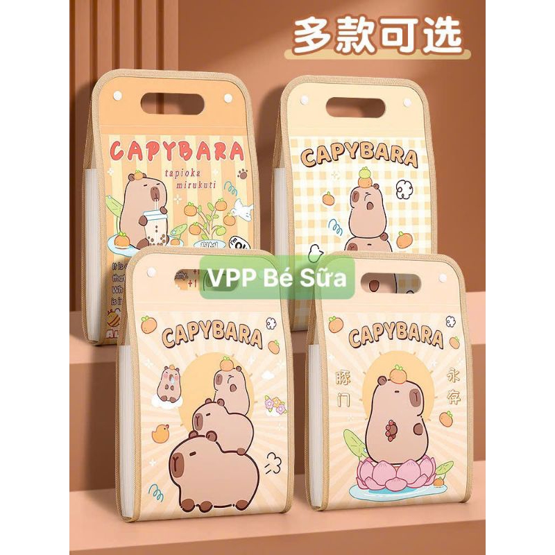 Bìa A4 13 ngăn - Bìa Đựng Tài Liệu - Bìa A4 Cappybara - Bìa Cứng Nhiều Ngăn Tiện Lợi