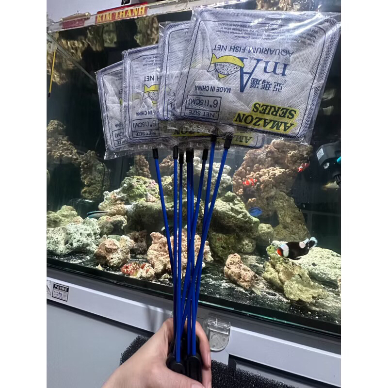 Vợt Cá Cán Cứng Lớn 6 in (15cm) - Dụng Cụ Vớt Cá Dành Cho Hồ Cá, Bể Cá, Chậu Cá [VỢT 6INCH]