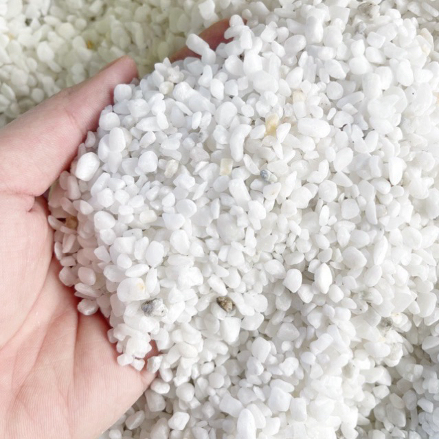 Sỏi trắng 0.5-1cm (kg) - Vườn sen đá