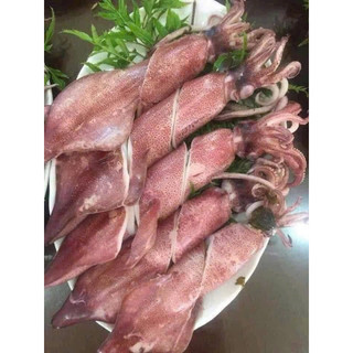 mực trứng nháy câu phú quốc 500gr siêu trứng tự nhiên
