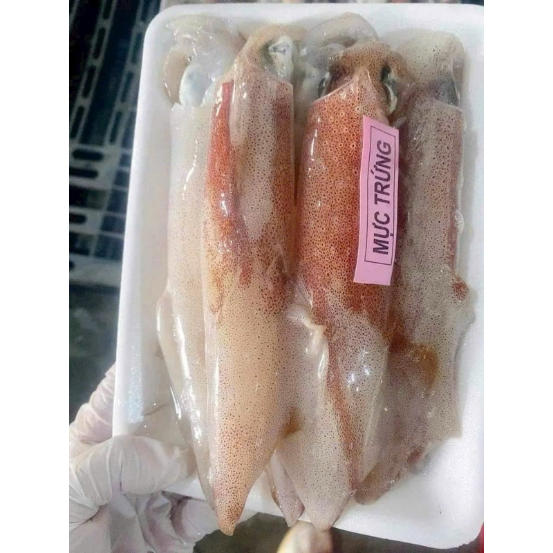 mực trứng nháy câu phú quốc 500gr siêu trứng tự nhiên