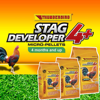 Thức ăn gà đá từ 4 tháng tuổi Thunderbird Developer 4+ túi 1kg