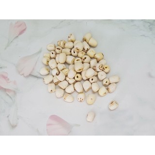 Hạt Sen Khô 500gr - Đông Y Thanh Bình