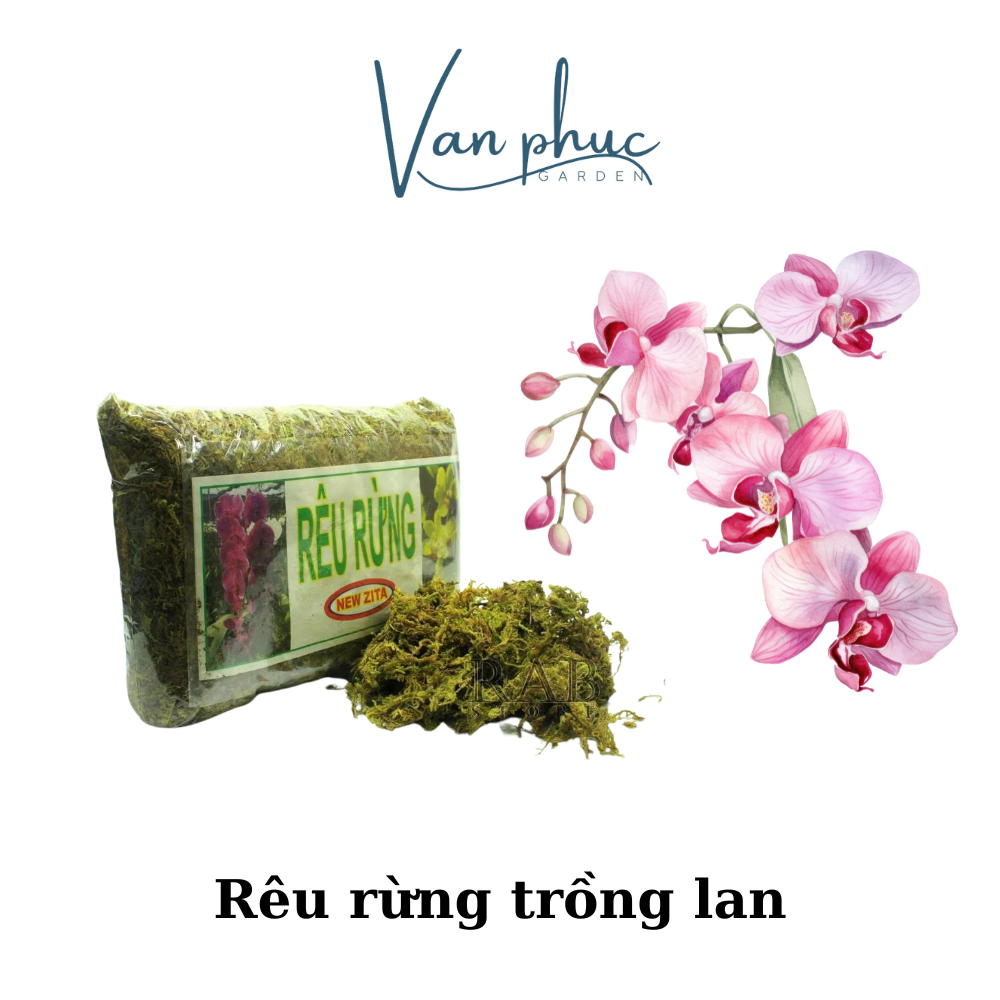 Rêu rừng đã qua xử lý (100gr)