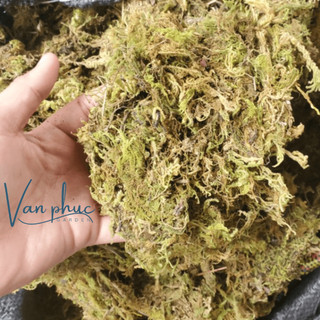 Rêu rừng đã qua xử lý (100gr)