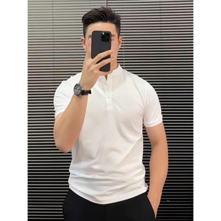 Áo thun nam, áo thun polo cổ trụ dáng basic vải mềm mát 5 màu dáng basic phom dáng cực đẹp