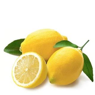 Chanh Vàng Ai cập Loại to