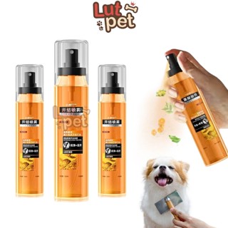 Tinh dầu dưỡng lông chó mèo Doongpet dạng xịt, dưỡng mượt lông, khử hôi, thơm lâu (120ml) - lutpet