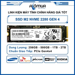 Ổ Cứng SSD M2 Nvme Định Dạng 2280 256GB/512GB/1TB Chuyên Nâng Cấp Laptop, Pc, Mini Pc. Bảo Hành 3 Năm