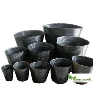  0.5kg túi bầu ươm cây nhựa dẻo chọn size 