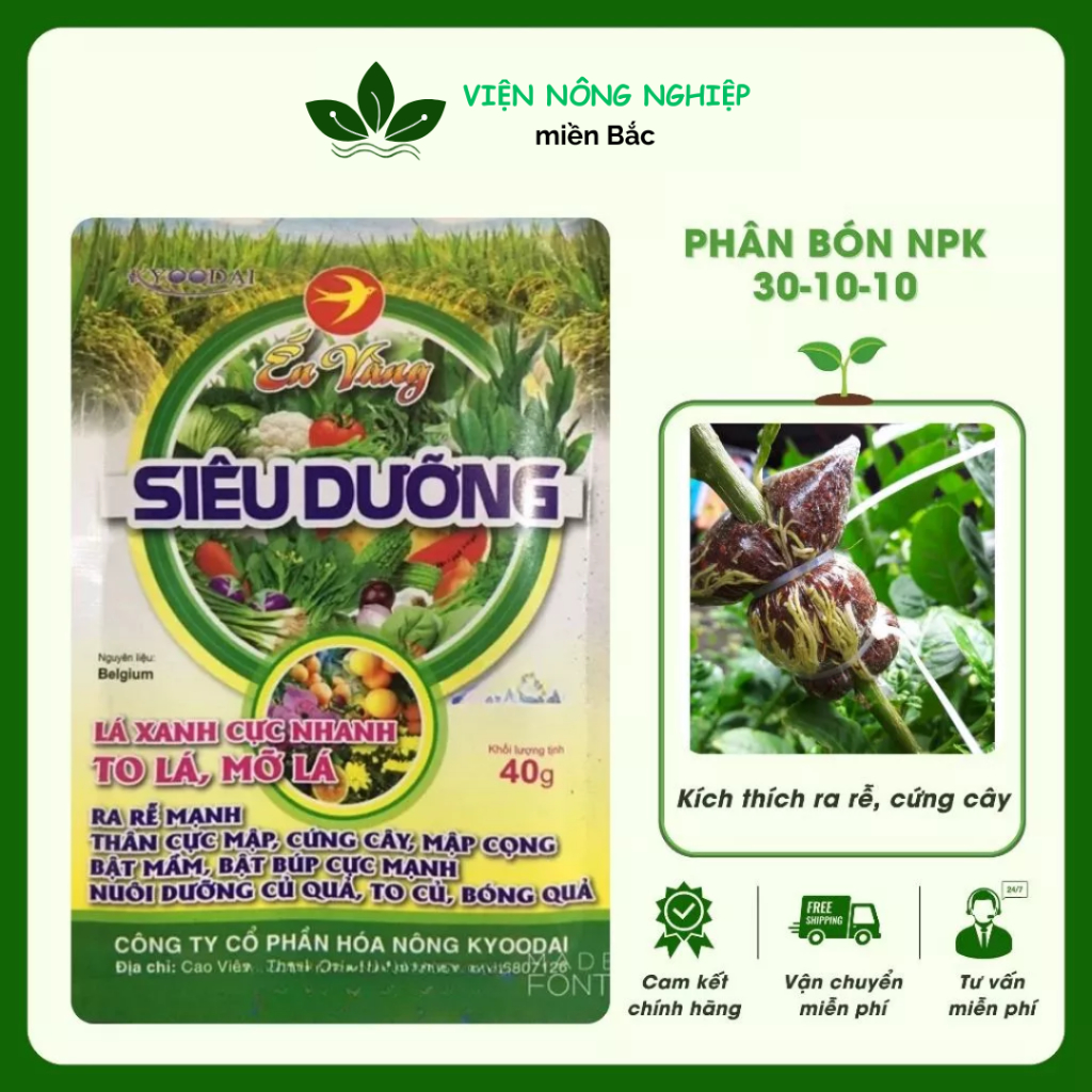 Phân Bón NPK 30.10.10 Phân Bón Lá Xanh, To Lá, Ra Rễ, Cứng Cây, Nở Búp, Bóng Quả, Bật Mầm