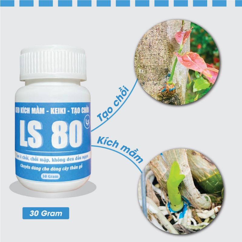 Keo Kích Mầm LS80, Tạo Chồi, Chồi Mập, Bôi Đâu Ra Đó, Không Đen Đầu Ngọn Hũ 30g