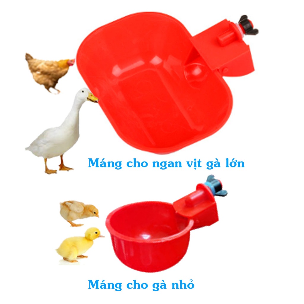 Combo 10 Máng uống Tự Động Cho Gà-Vịt-Ngan