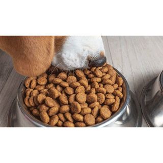 FIB’S 400G - THỨC ĂN DÀNH CHO CHÓ LỚN