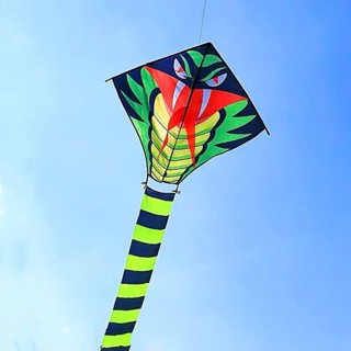 Diều Rắn Khổng lồ đuôi dài 10/15/30met