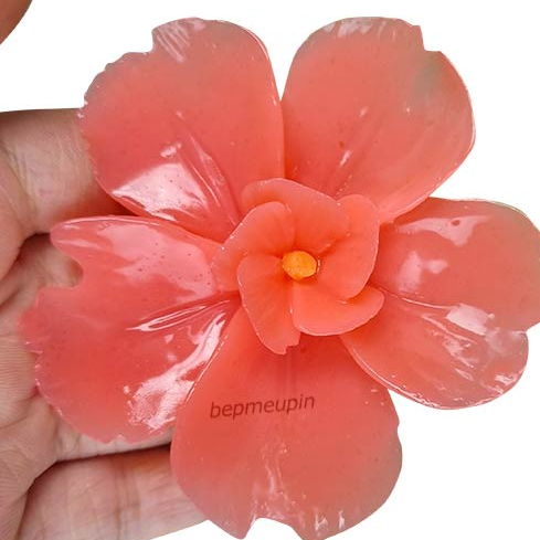 Khuôn silicon bông hoa mã HS59