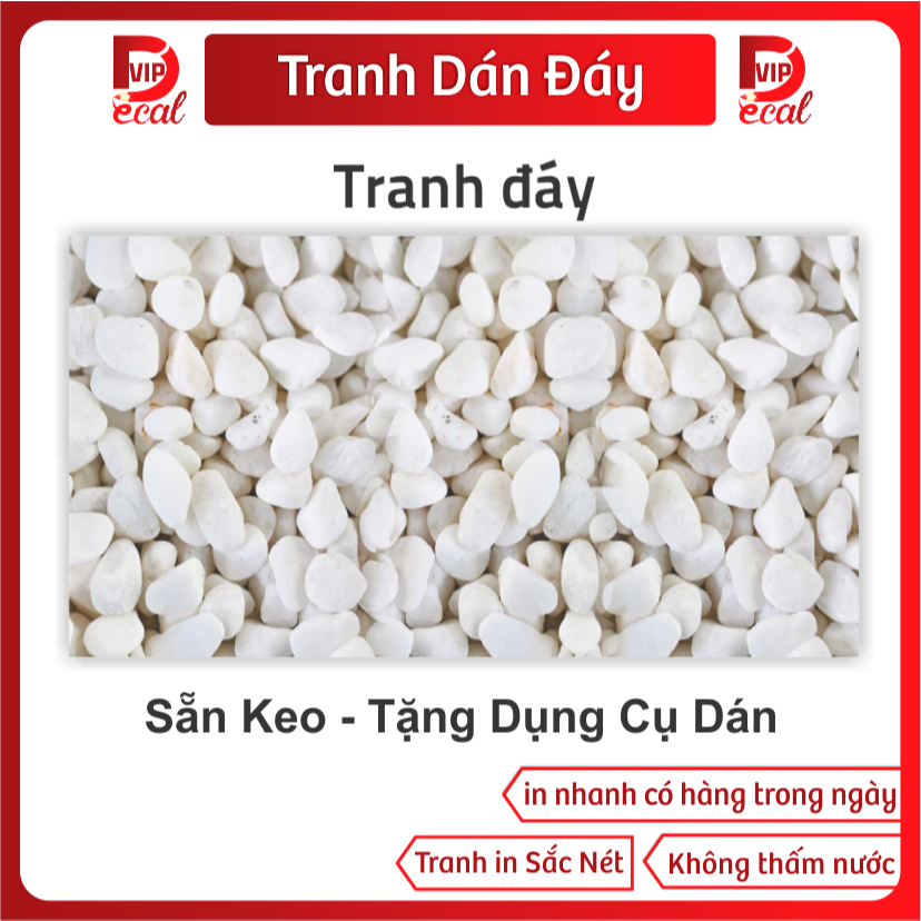Tranh Decal dán Hồ Cá 3D Mẫu Mới ( Tranh Đáy )_ĐAY 12