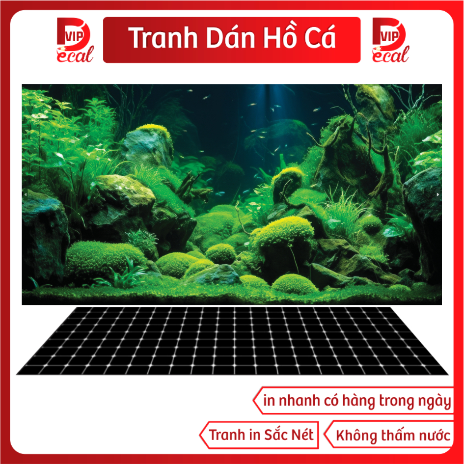 Tranh Decal dán Hồ Cá 3D Mẫu Mới ( Tranh Lưng )_TS 87