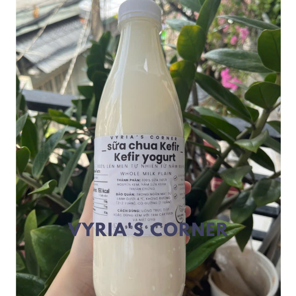 Sữa chua Kefir CẢI TIẾN chua nhẹ sánh đặc dễ ăn tốt cho hệ tiêu hóa sữa chua uống nấm kefir
