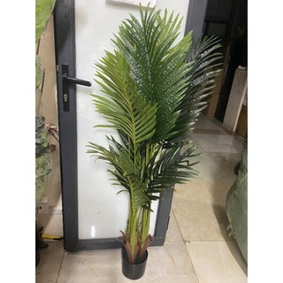 Cây dừa cảnh giả cao 1,2 -1,7met, trang trí nhà cửa nội thất,trang trí tiểu cảnh.