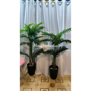 Cây dừa cảnh giả cao 1,2 -1,7met, trang trí nhà cửa nội thất,trang trí tiểu cảnh.